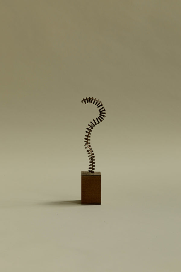 Spine Sculpture